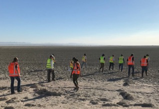 Twelve people wearing bright reflective vests and walking through a desert. Everyone is looking down at the ground while walking.