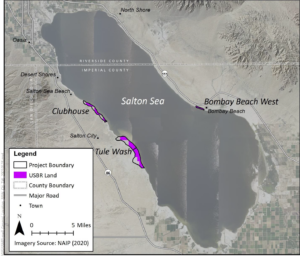 Salton Sea vegetation enhancement projects.