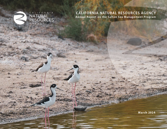 Cover page for 2024 SSMP Annual Report. Three birds near water.