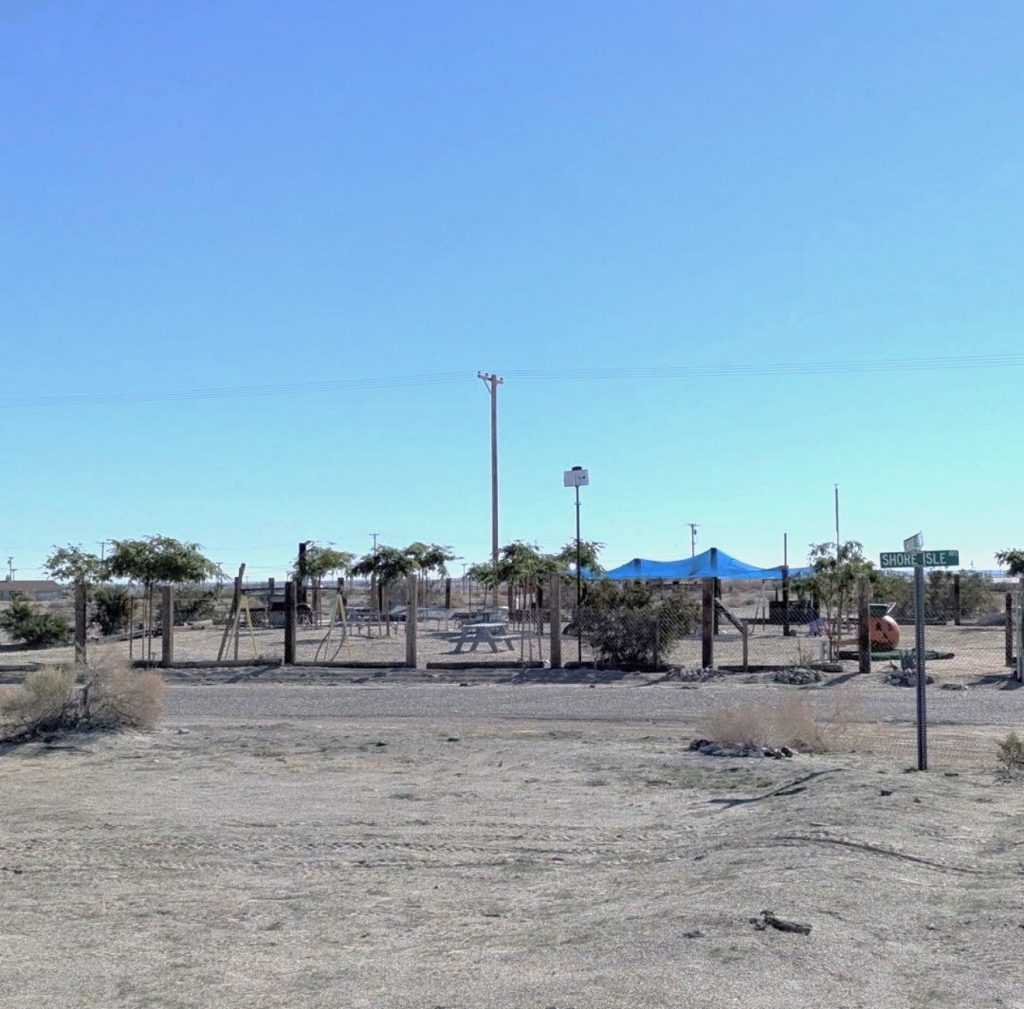 Multiple trees at a distance in the community of Bombay Beach