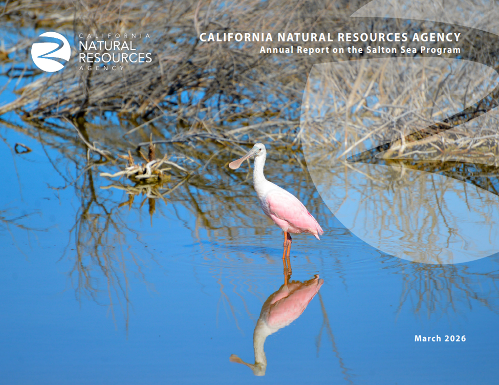 Cover page of the 2026 SSP annual report. A rosette spoonbill stands in the middle of a shallow water pond with wood sticks on the back